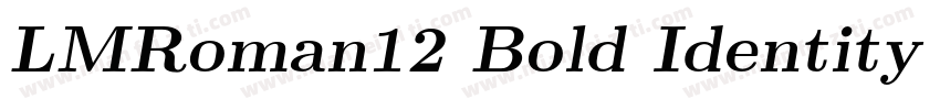 LMRoman12 Bold Identity H字体转换